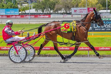australian harness racing